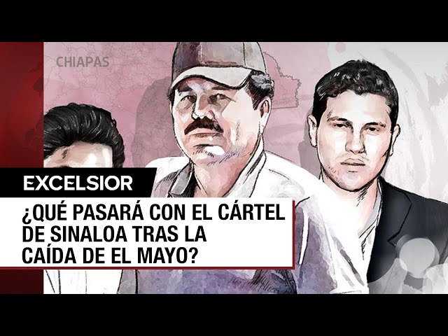 ⁣¿Es el final del Cártel de Sinaloa tras la caída de El Mayo Zambada?