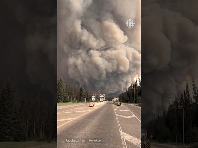 ⁣Les feux de forêt détruisent en partie Jasper