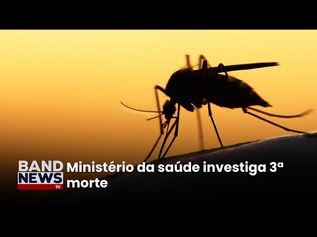 Bahia Registra as primeiras mortes por febre Oroupoche | BandNewsTV