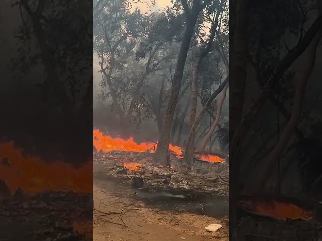 ⁣Watch: Firefighters try to tame massive Park Fire in California