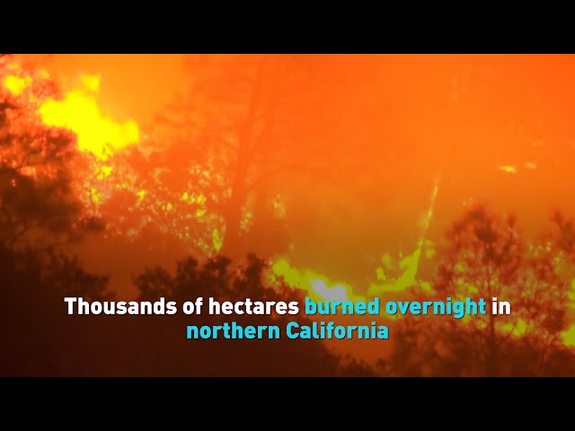 ⁣Thousands of hectares burned overnight in northern California