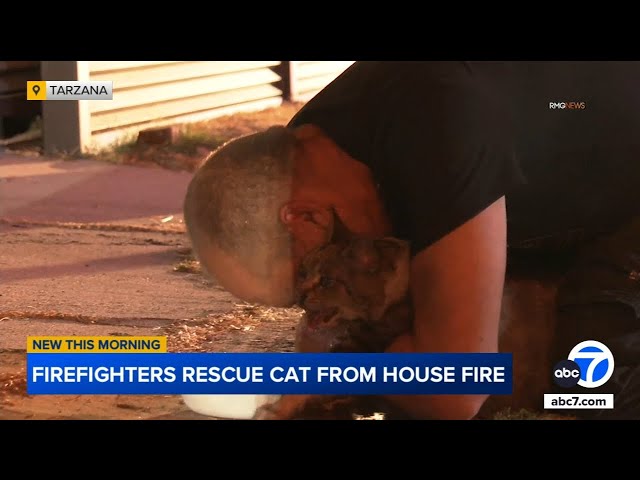 ⁣Owner overcome with emotion after cat rescued from Tarzana house fire