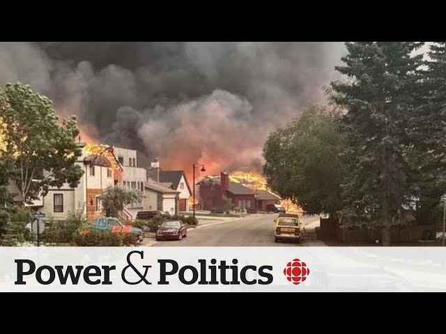 ⁣Fighting fire with '1990s methods,’ says author | Power & Politics