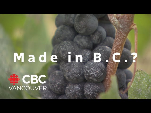 B.C. lets wineries import grapes to offset winter losses