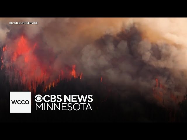 ⁣Mega-fire ravages resort town in Alberta, Canada