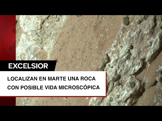⁣NASA halla en Marte roca que creen puede contener vida microscópica antigua