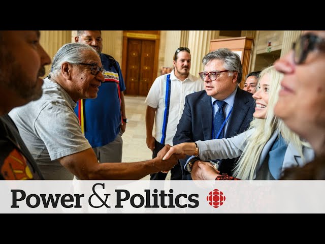 Crown made a 'mockery' of 2 First Nations treaties for 150 years: Supreme Court | Power &a
