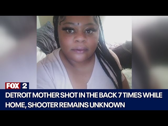 ⁣Mother survives being shot 7 times in Detroit