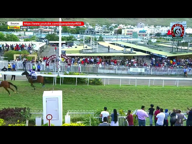 Hippisme - 13ème journée - La 7ème course en direct