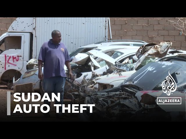 ⁣Auto theft on the rise: Fighters steal tens of thousands of vehicles
