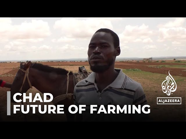 Chad food insecurity: Climate change threatens future of farming