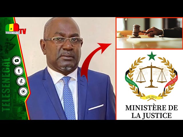 ⁣Grands changements dans la justice: Me Amadou Aly Kane pointe là où le bas blessent