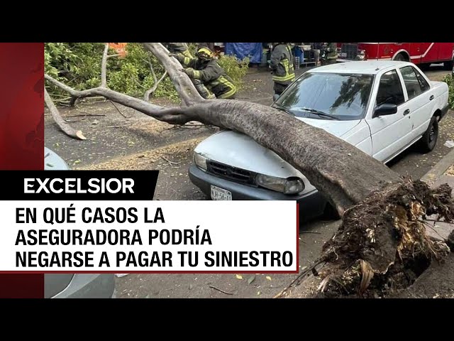 ¿Los seguros de auto cubren afectaciones por desastres naturales?