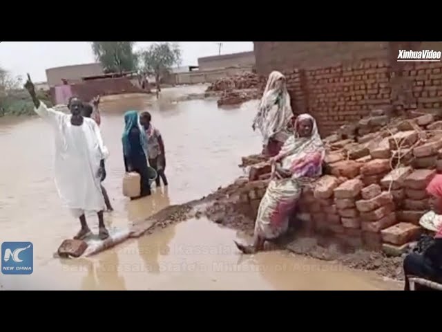 ⁣Heavy rains aggravate plight of displaced people in E. Sudan