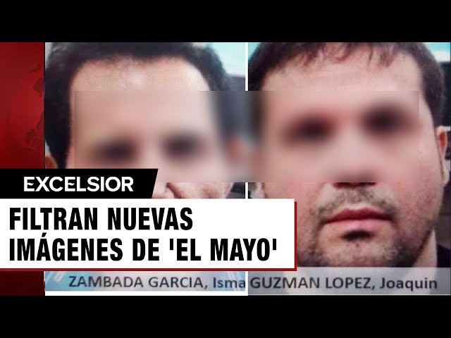 Filtran nuevas imágenes de 'El Mayo' y el hijo de 'El Chapo', y más preguntas su