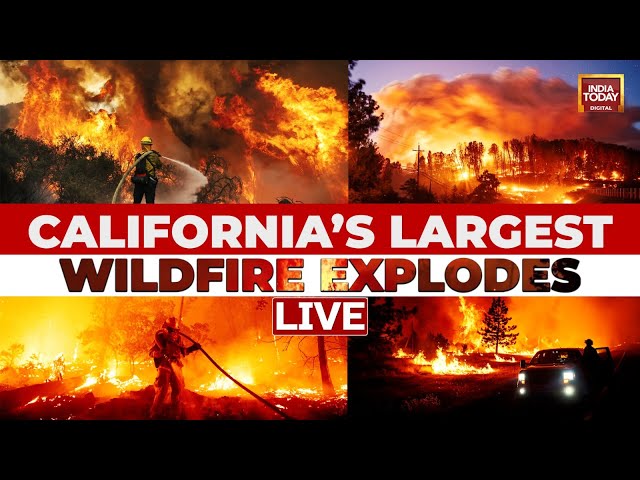 ⁣California Wildfire LIVE: California’s Largest Wildfire Explodes In Size, Fires Rage Across US West