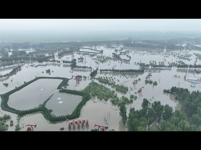 ⁣Emergency measures activated in China as Typhoon Gaemi brings heavy rain