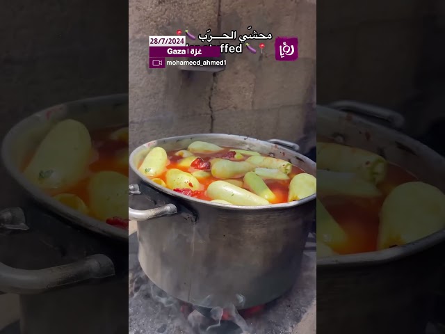 ⁣شاب من القطاع يقوم بتحضير طبق المحشي