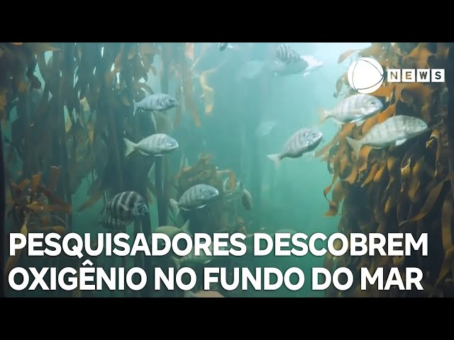 ⁣Pesquisadores descobrem oxigênio no fundo do mar