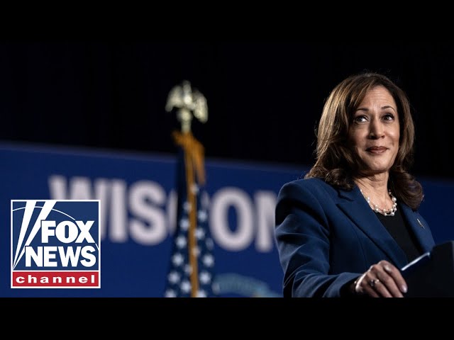 ⁣Enthusiasm for Kamala Harris is ‘not going to mean much’ come November: GOP lawmaker