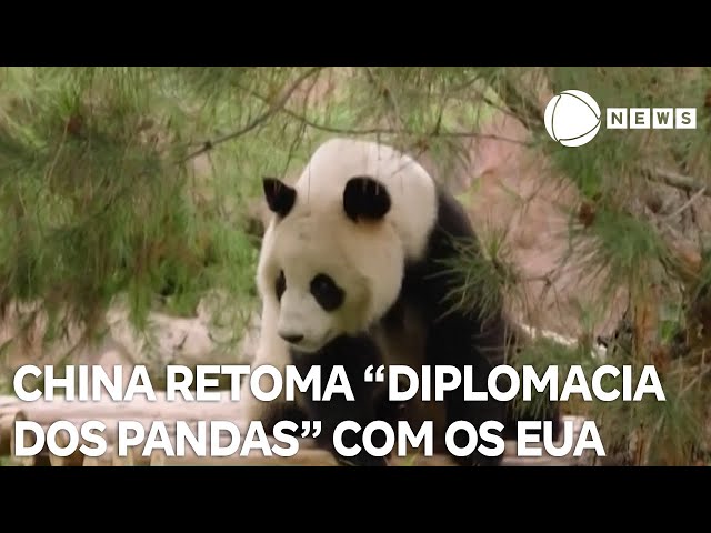 ⁣China retoma a "diplomacia dos pandas" com os EUA