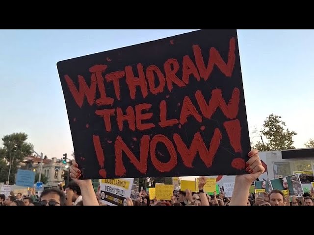 ⁣Istanbul: Großdemonstration gegen Massenkeulung von streunenden Hunden