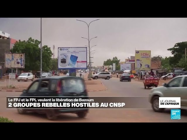 Au Niger, 2 rébellions le FPJ et le FPL appellent à la libération de Bazoum • FRANCE 24