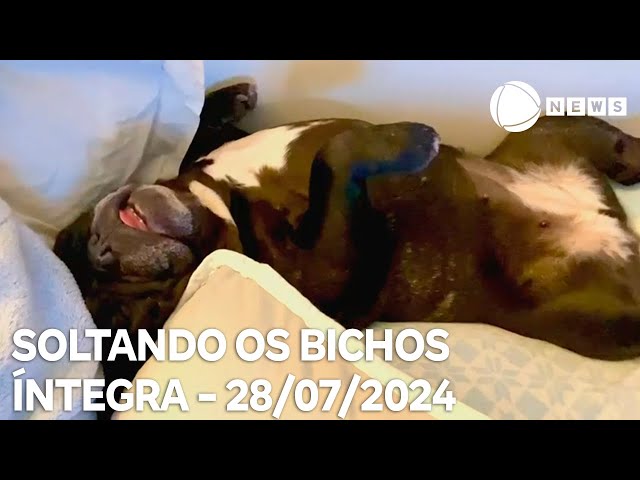 Soltando os Bichos - 28/07/2024