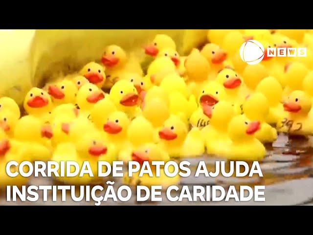 Corrida de patos ajuda instituição de combate ao câncer