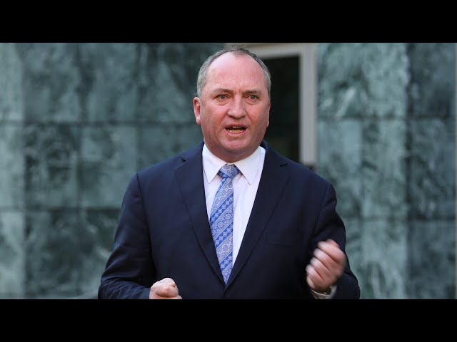 Barnaby Joyce apologises over ‘poor’ voting analogy