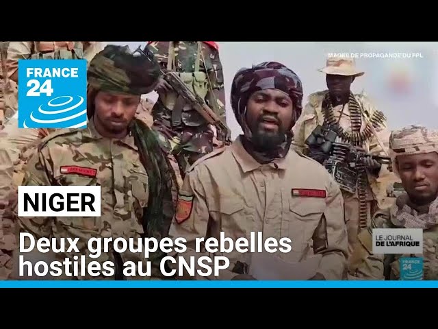 Niger : deux groupes rebelles hostiles au Conseil national pour la sauvegarde de la patrie (CNSP)