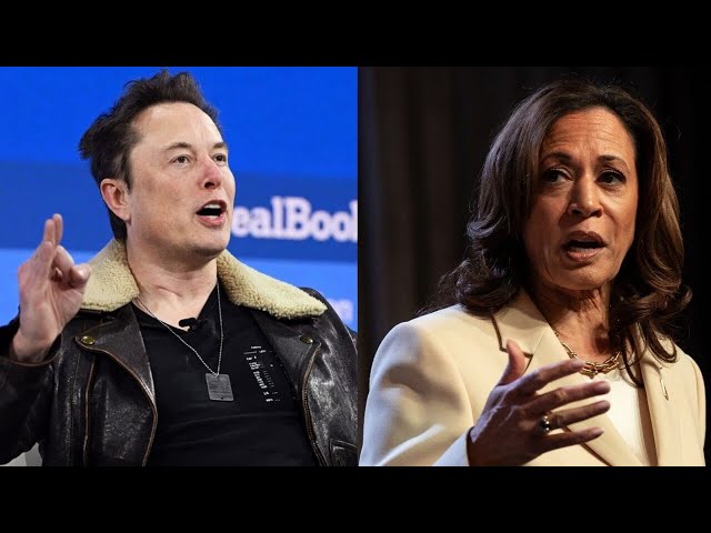 Elon Musk labels US Vice President Kamala Harris as an 'extinctionist'