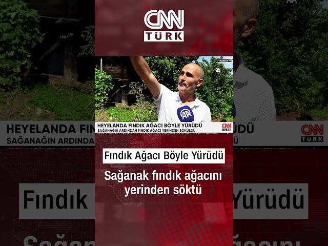 Heyelanda Fındık Ağacı İşte Böyle Yürüdü