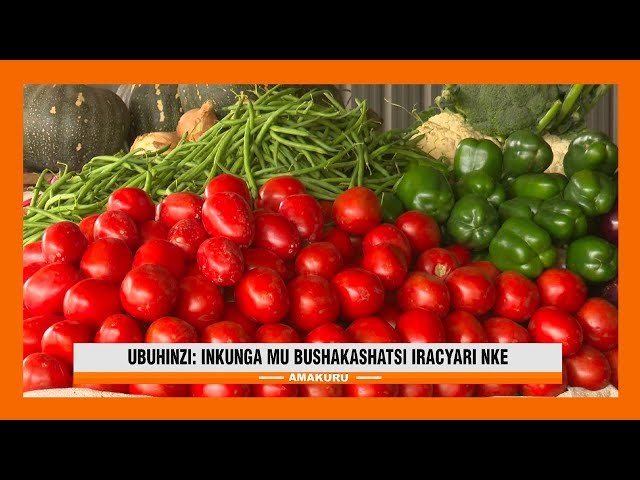 ⁣Hagaragajwe bimwe mu bihingwa biri gukorerwaho ubushakashatsi bwo guhindurirwa uturemangingo (GMOs)