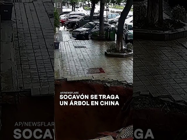 Socavón se traga un árbol en China - N+ #Shorts