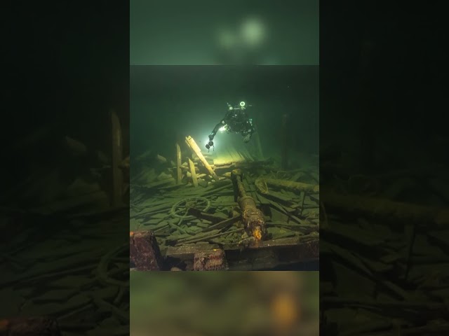 ⁣Dozens of champagne bottles found on 19th-century shipwreck #Shorts