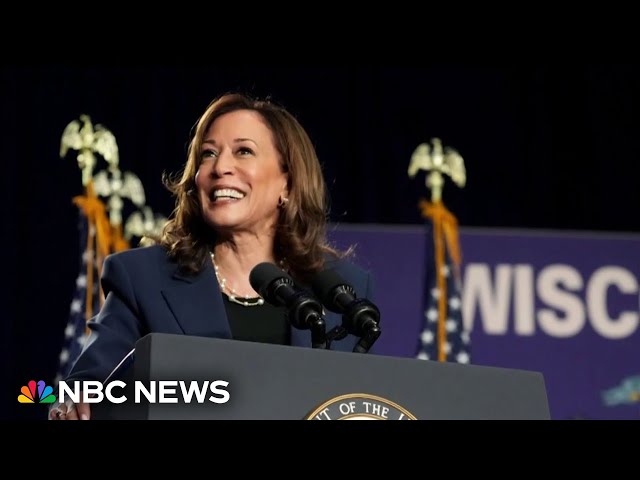 ⁣Harris' run for president leads to new considerations among some Black male voters