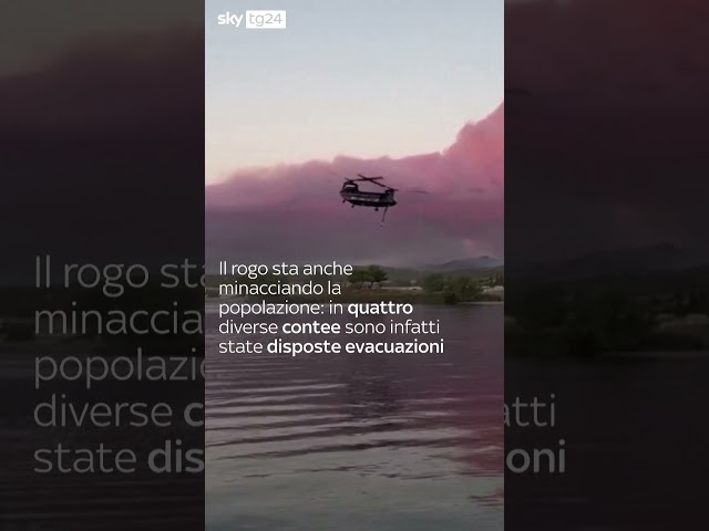 ⁣Incendi California, in centinaia costretti all'evacuazione