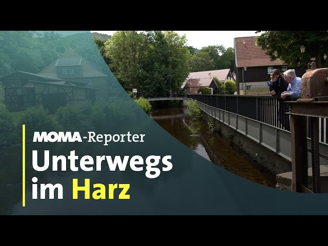 ⁣Unterwegs im Harz | ARD Morgenmagazin