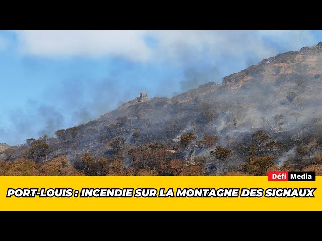 Port-Louis : incendie sur la montagne des Signaux