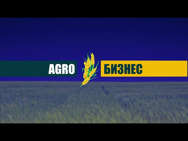 ⁣«Агробизнес» // Жас келсе іске