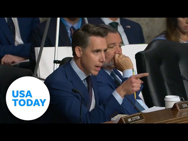 ⁣Sen. Josh Hawley criticizes Secret Service protocol during hearing | USA TODAY