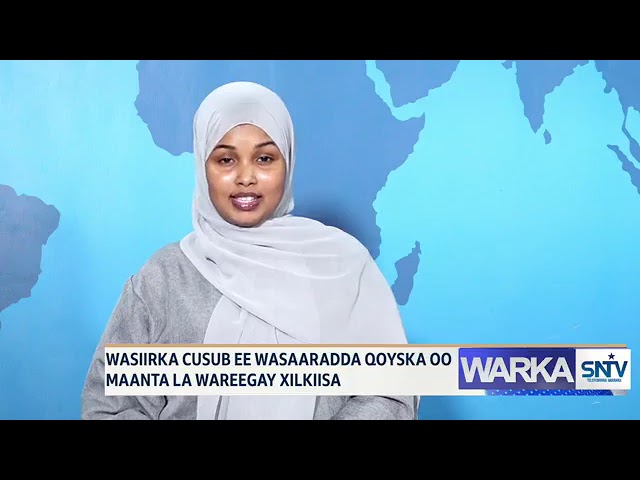 WARKA HABEEN EE SNTV 30.07.2024