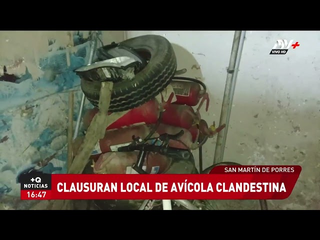 Clausuran local de avícola que operaba clandestinamente y en pésimas condiciones de salubridad