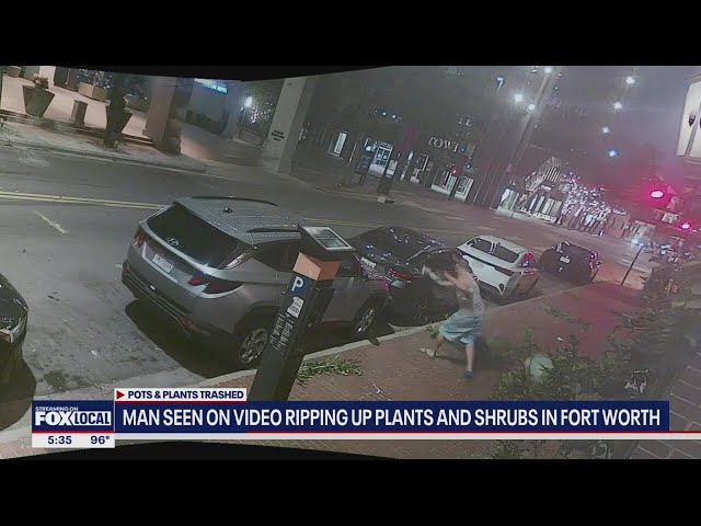 ⁣Fort Worth police searching for man who trashed landscaping, flower pots in downtown