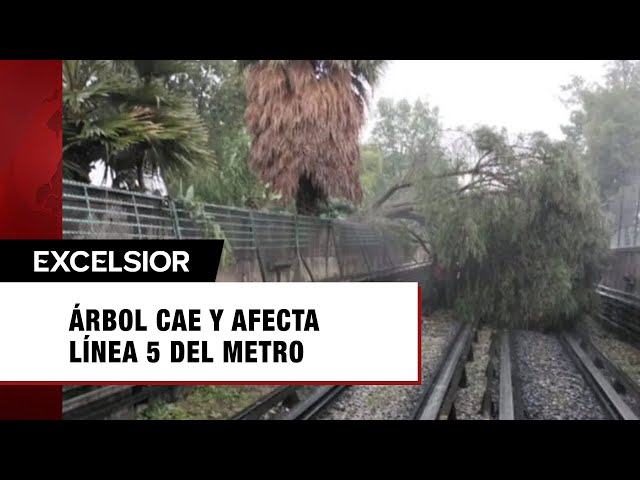 Cae árbol a vías del Metro y afecta Línea 5; servicio solo de Pantitlán a La Raza