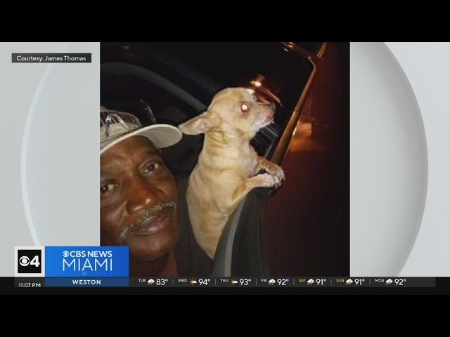 ⁣Broward man recalls losing his beloved dog to a coyote