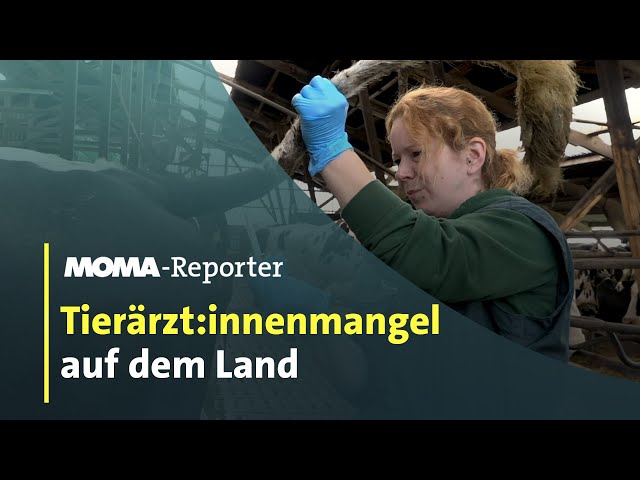 Tierärzt:innenmangel auf dem Land | ARD-Morgenmagazin