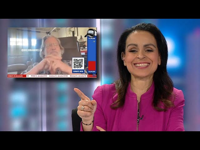 Lefties losing it: Rita Panahi pokes fun at ‘White Dudes for Kamala Harris’