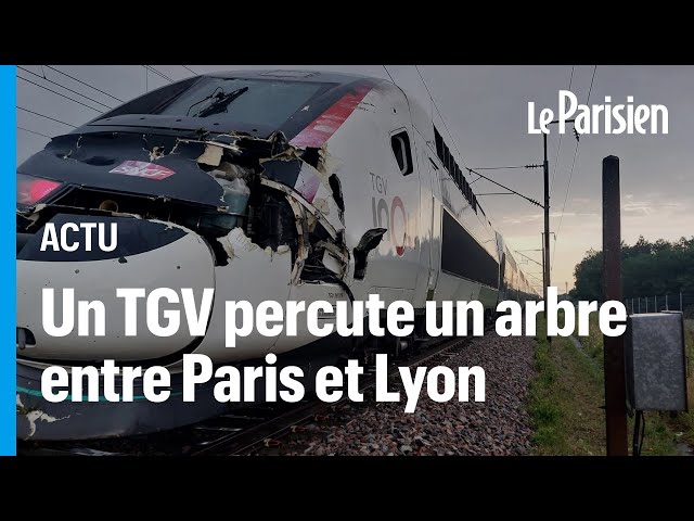 ⁣Un TGV heurte un arbre après la passage d'une mini tornade, le trafic paralysé entre Lyon et Pa